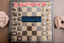 قواعد لعبة الشطرنج